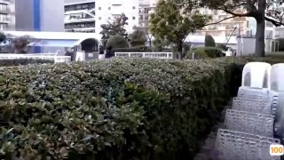 国语《8x8x电影》最近免费在线观看